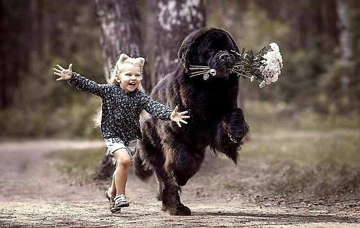 veronstr's tweet photo. It doesn't matter how slowly you go, as long as you don't stop.🌼 https://t.co/k5bYXEEXmF