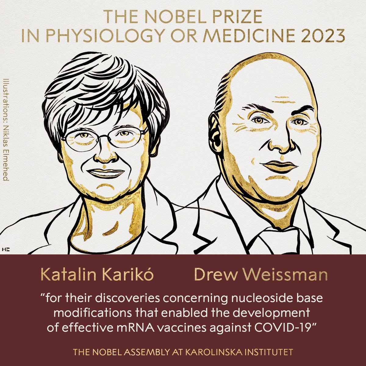 BREAKING NEWS The 2023 #NobelPrize in Physiology or Medicine has been awarded to Katalin Karikó and Drew Weissman for their discoveries concerning nucleoside base modifications that enabled the development of effective mRNA vaccines against COVID-19.