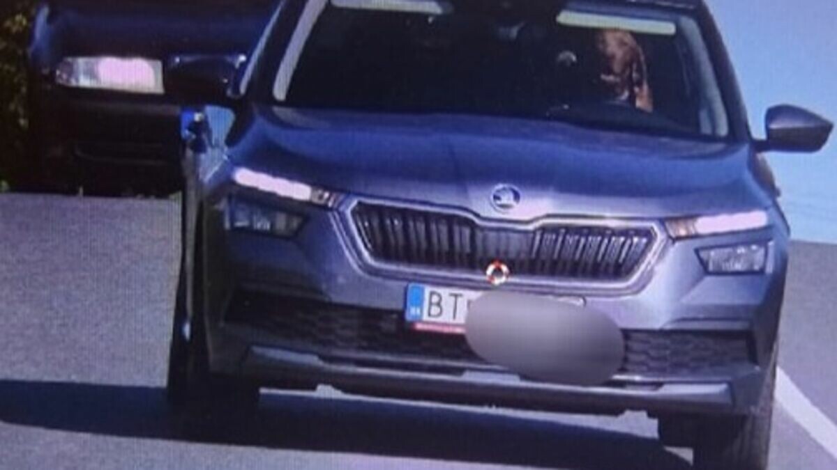 le_Parisien's tweet photo. Un chien filmé en excès de vitesse au volant d’une voiture en Slovaquie ⁉ 😳

➡️ https://t.co/bxNEOMzlBK https://t.co/H6skXu5C4a