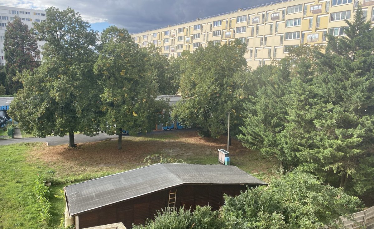 GnsaBagneux's tweet photo. Arbres, jardin partagés, espaces verts de pleine terre, bientôt remplacés par des parkings et des bâtiments sur Bagneux ! #Ecocide #Bagneux #AuxArbresCitoyens #Pollution #Climat  #Hautsdeseine #GrandParis #ecologie #Stopabattage #Stopbeton https://t.co/me0SAMGZz6