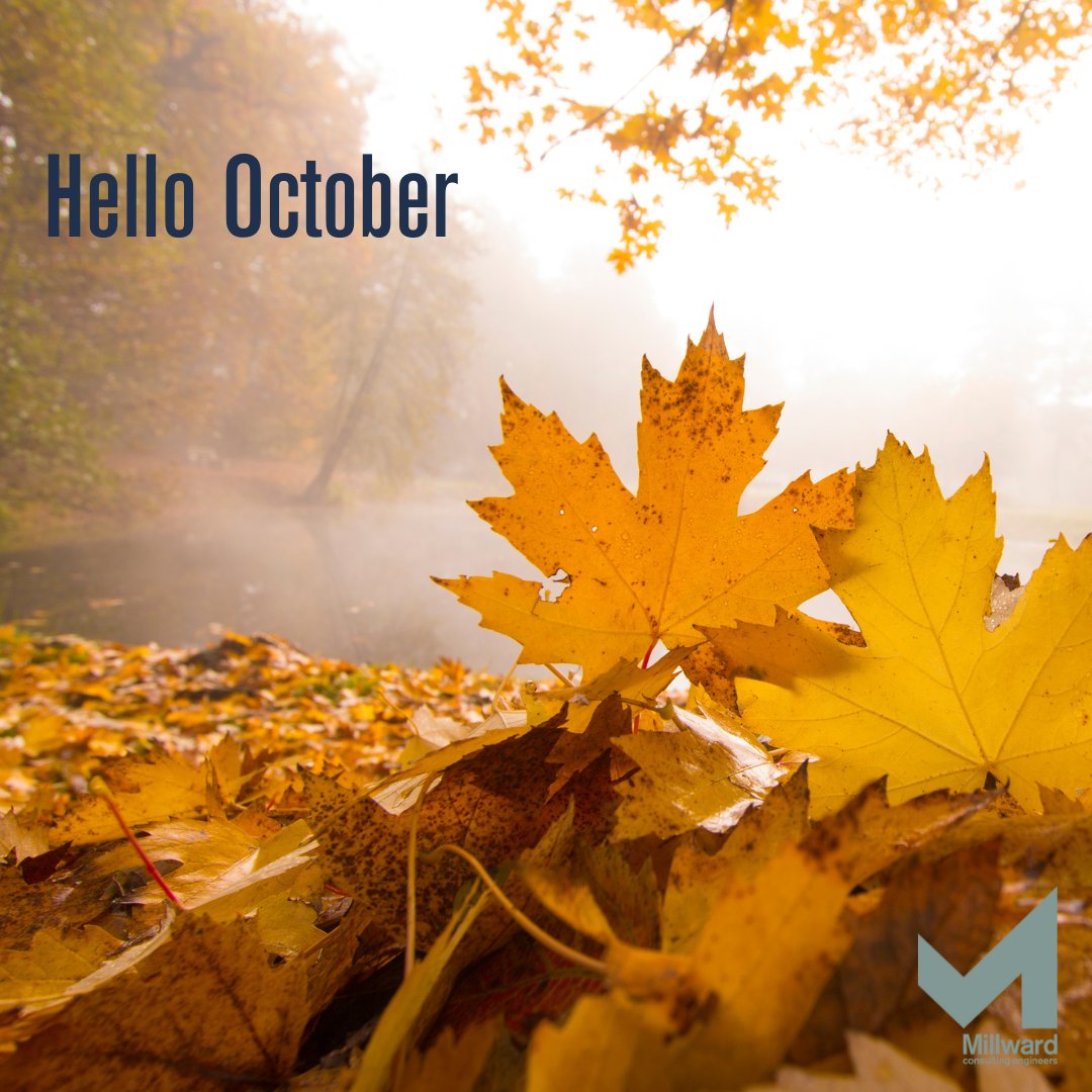 Millward tweet media