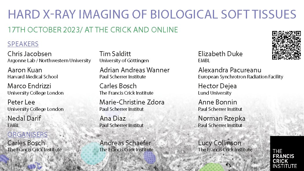 Carles Bosch (@trickymons) on Twitter photo Hard X-ray imaging of biological soft tissues symposium:
crick.ac.uk/whats-on/hard-…
Tuesday 17th October.
- What can current #Xrays resolve?
- What is at reach in the near future?
- Best data strategies?
Organised by <a href="/AndreasTSchafer/">Andreas Schaefer</a>, @EM_STP and myself
#CrickXray2023
1/3 Hard X-ray imaging of biological soft tissues symposium:
crick.ac.uk/whats-on/hard-…
Tuesday 17th October.
- What can current #Xrays resolve?
- What is at reach in the near future?
- Best data strategies?
Organised by <a href="/AndreasTSchafer/">Andreas Schaefer</a>, @EM_STP and myself
#CrickXray2023
1/3