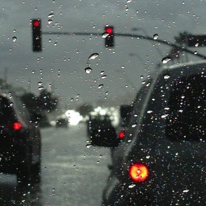 mycelticmoon's tweet photo. Rainy https://t.co/C2RZCLscXN