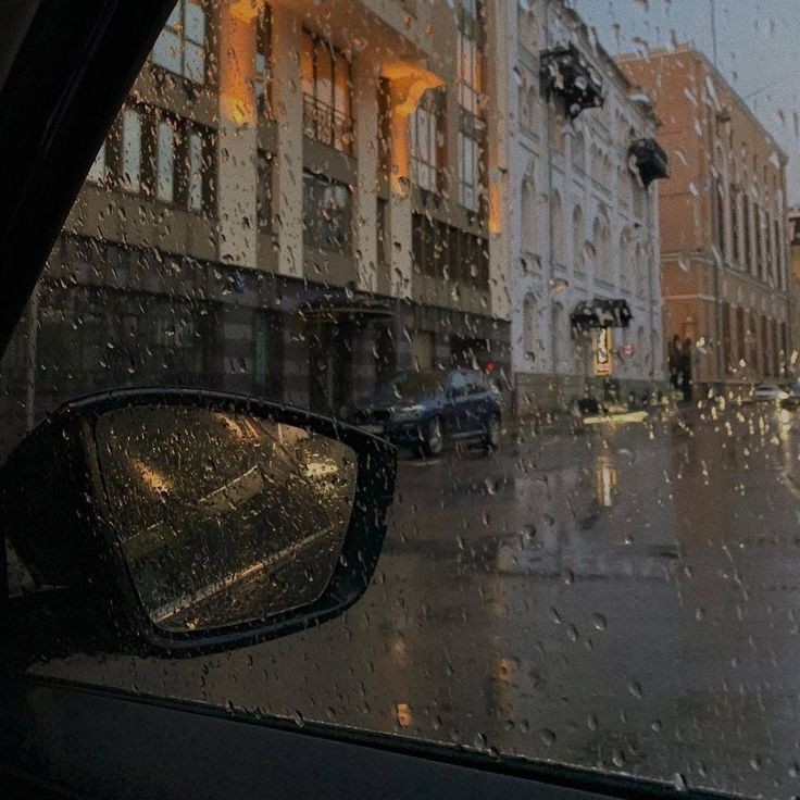 mycelticmoon's tweet photo. Rainy https://t.co/C2RZCLscXN