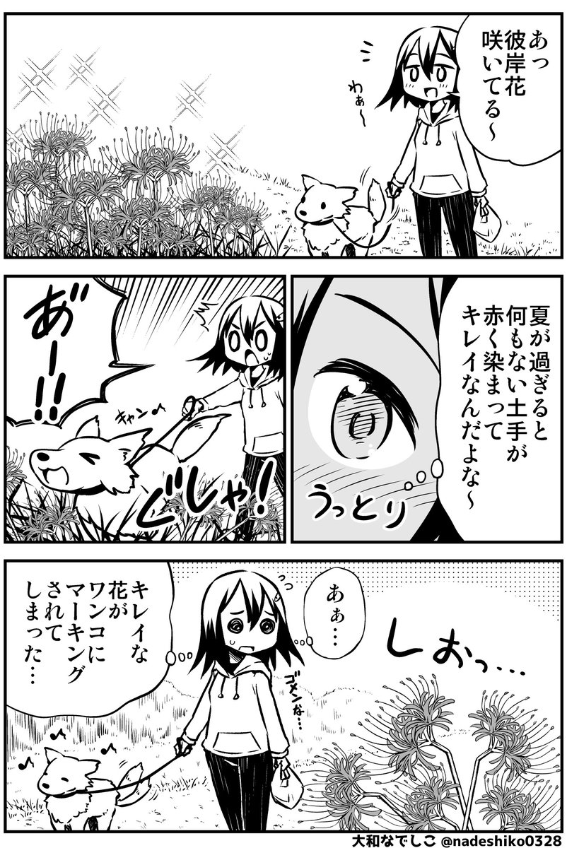 彼岸花が咲いてました