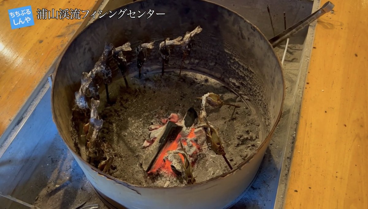 本日のちちぶるしんやチャンネルは
【浦山渓流フィシングセンター】の紹介です！

youtu.be/uUVMbR05re8?si…

さぁ、果たして何匹釣れるのか？
いってみましょう‼️

詳細はYouTubeにてご堪能下さい🥳

#秩父
#観光
#旅行
#グルメ
#釣り
#魚