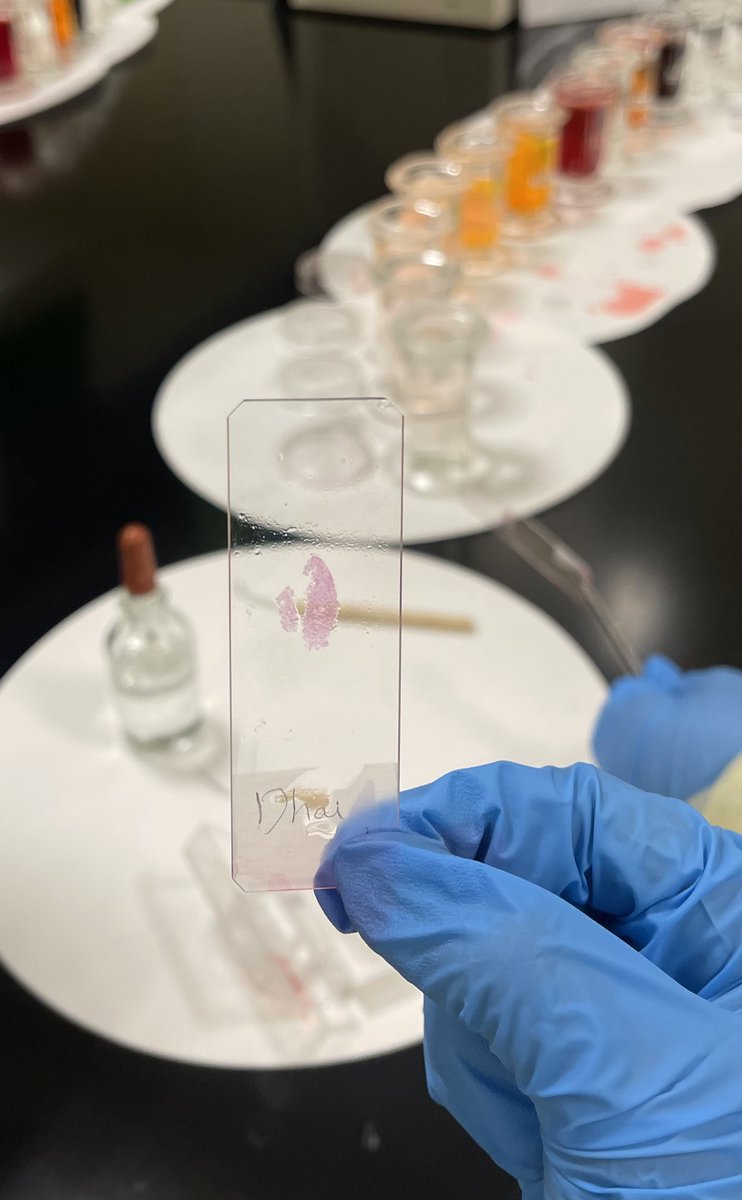 • HISTOLOGICAL TECHNIQUE •