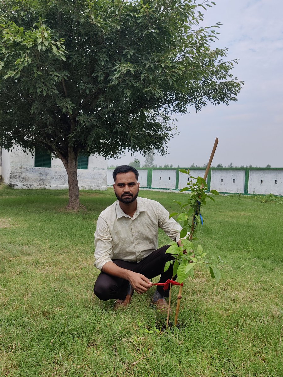 SumitSi48633410's tweet photo. #प्रकृति_मित्र🌳
Name- SUMIT KUMAR SINGH 
Designation- A.T.
Address- PS MANPUR , MAJHGAWAN , BAREILLY 
@shikshansamvad
@RedTapeMovement 
@teachersclubup @UNEP @Nature @eriksolheim @myogiadityanath
@narendramodi #nature_friend
साभार- टीम प्रकृति मित्र मिशन शिक्षण संवाद https://t.co/KvPVEYvq0r