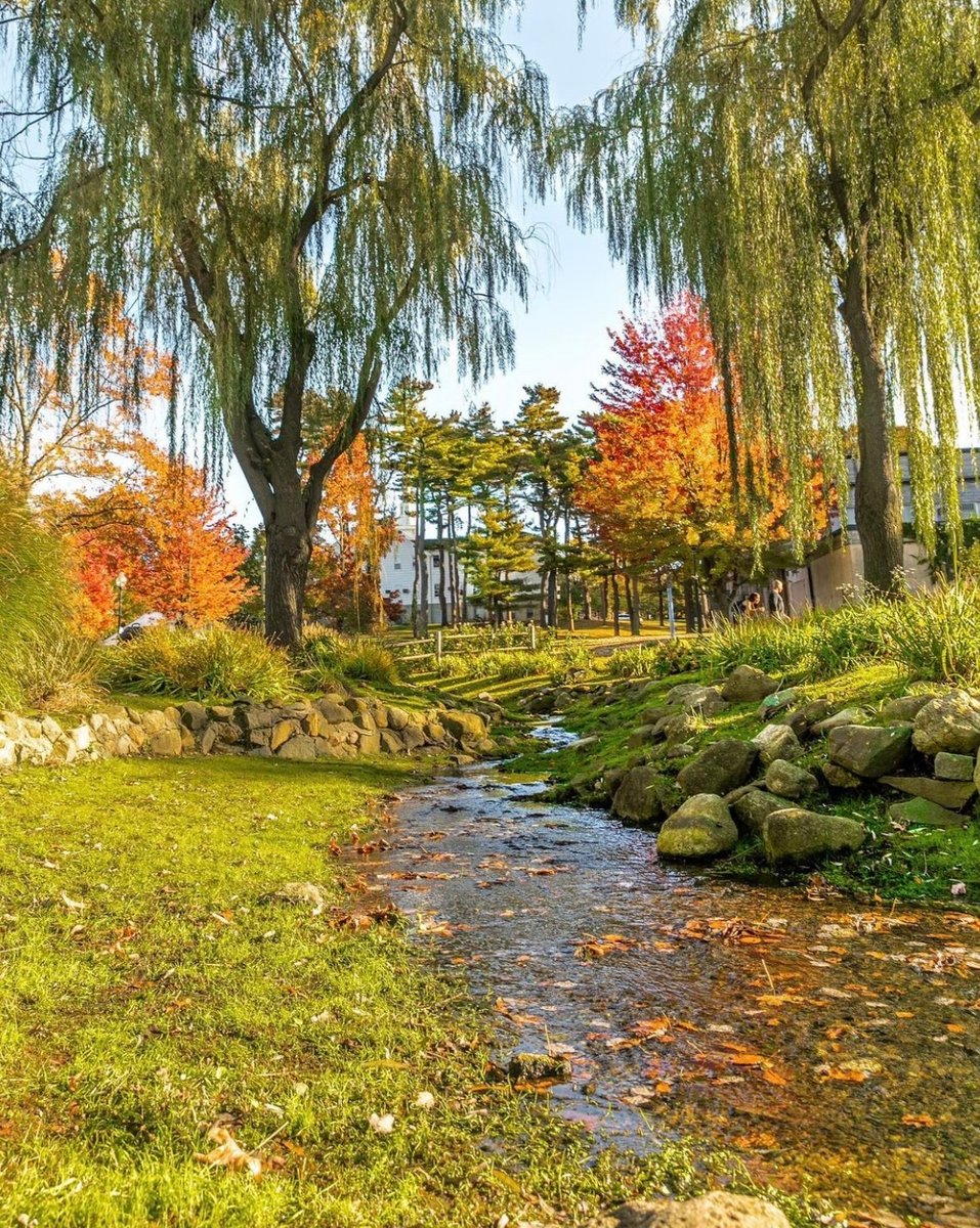 DiscoverLINY's tweet photo. Patiently waiting for the leaves to change ๐๐โณ #discoverlongisland
๐Heckscher Park
๐ธ: @love.cornelia
#discoverli #discoverliny #dli #whereyoubelong #longislandnewyork #longislandny #longisland #liny #thingstodoli #longislandfall #fallonli #heckscherpark #huntington https://t.co/STCHvrVHOB