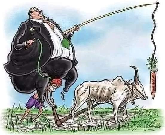 آپ کے پاس تیل تو نہیں ہے
مگر گنے کی پیداوار میں پوری دنیا میں آپ کا پانچواں نمبر ہے
کیا عوام سستی چینی حاصل کر پا رہے ہیں؟
جی نہیں

آپ کے پاس تیل نہیں پر گندم کی کاشت میں آپ کا دنیا بھر میں آٹھواں نمبر ہے۔ 
تو کیا عوام کو سستی روٹی میسر ہے؟
جی نہیں

آپ کے پاس تیل نہیں مگر
👇