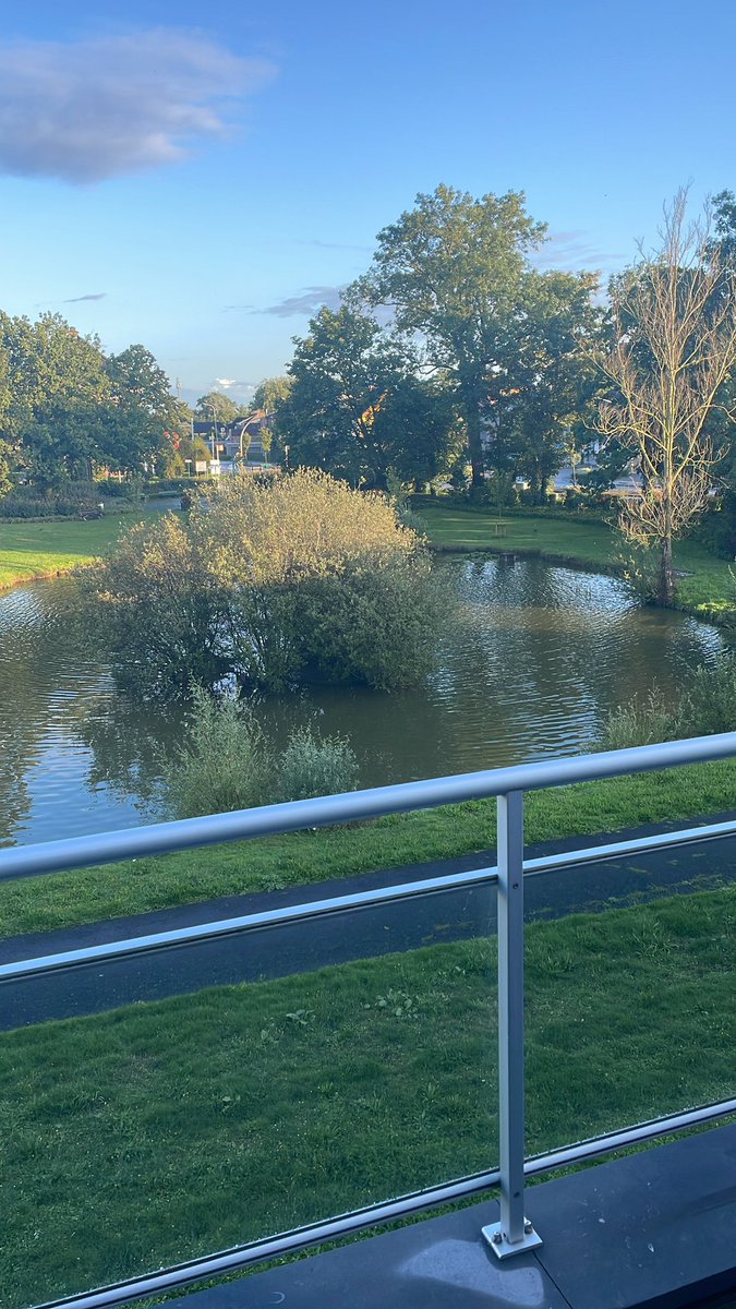 John Cazassus (@johncazassus) on Twitter photo 