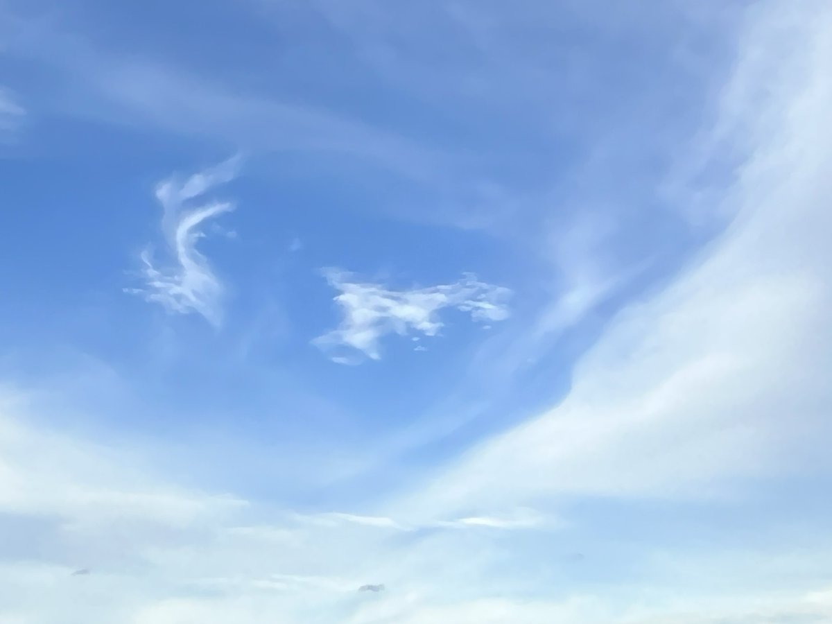 tinyboww's tweet image. เต้นระบำ