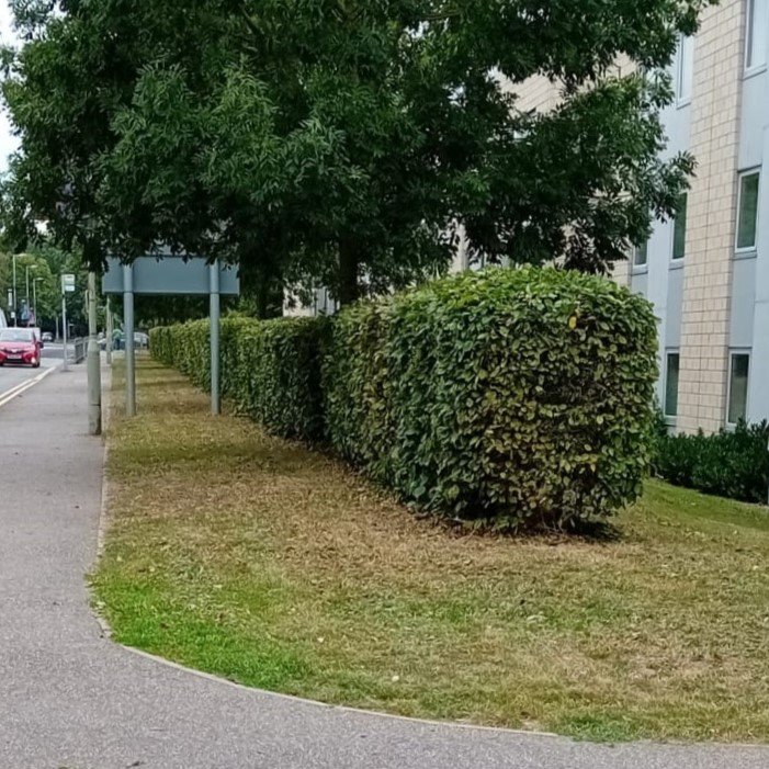 Landscape Services tweet media