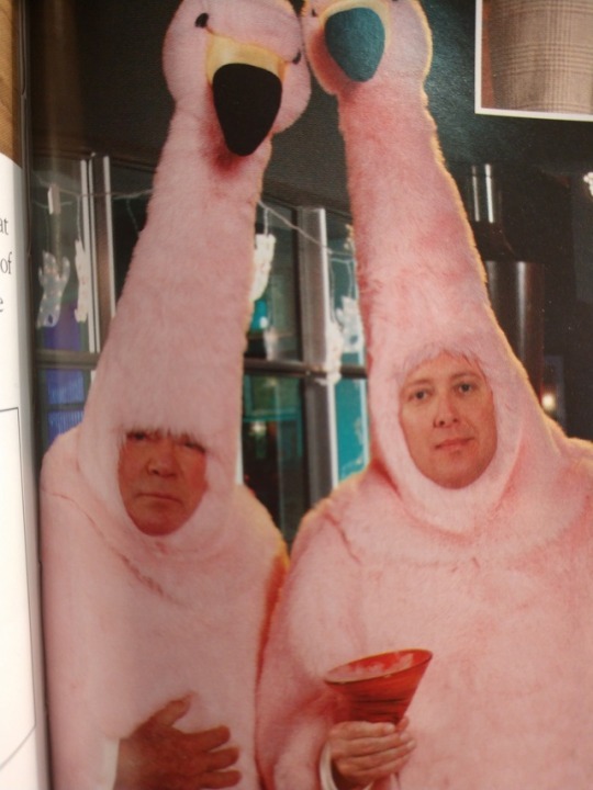 atomjack604's tweet image. #shat #spade... (#williamshatner #jamesspader #flamingos #onesies #settlingforalcohol #usebetterdrugs #takebetterdrugs)