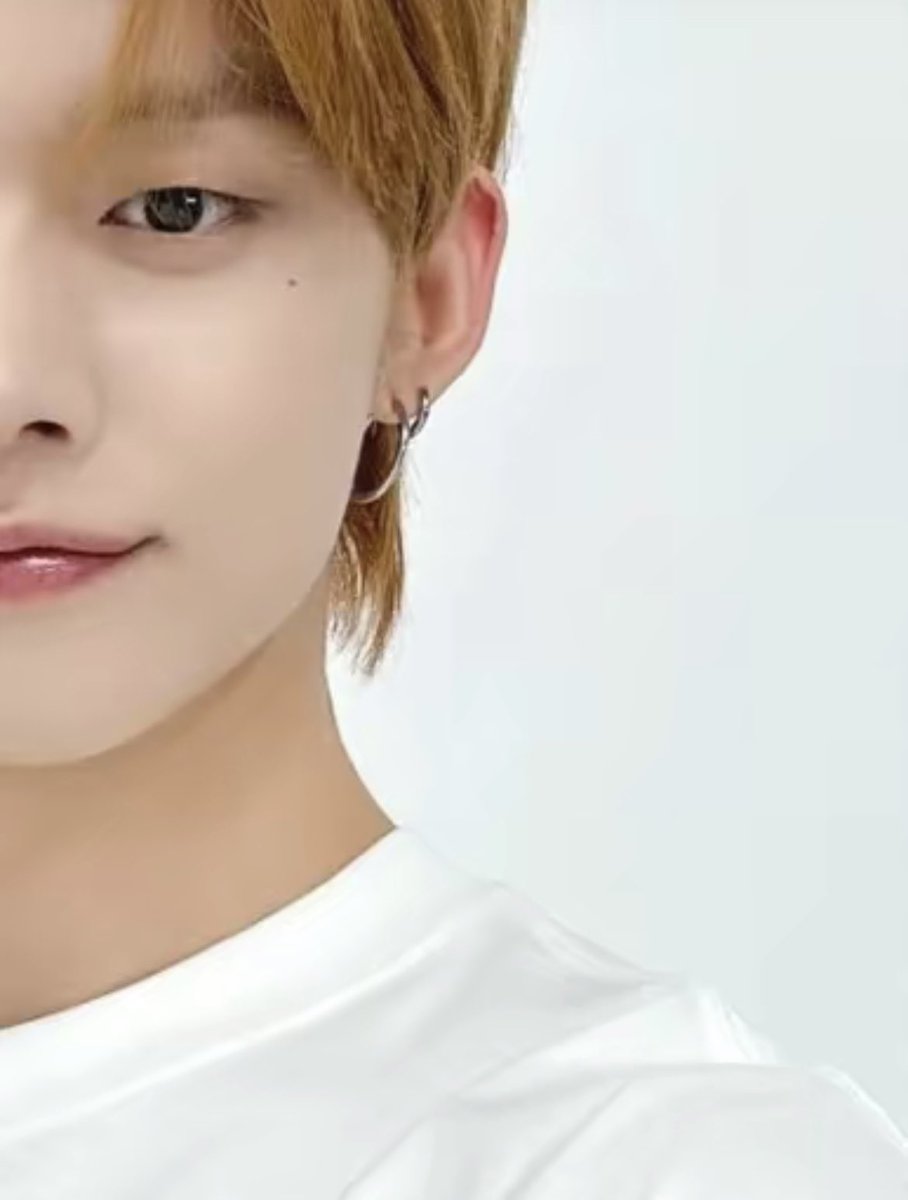 913x822's tweet photo. 나랑 우리 집 고양이 성장일기 볼 사람 https://t.co/amllsDndVc