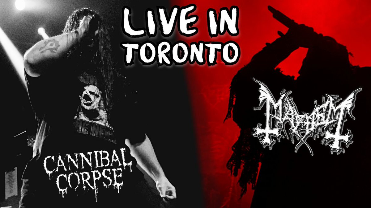 ThrashedTV tweet media