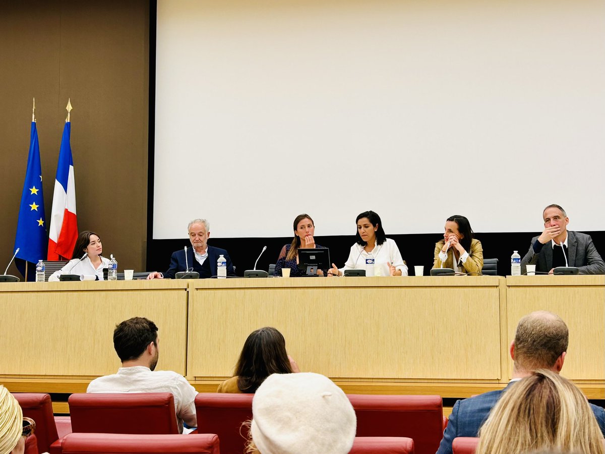 MoDem_MDFE's tweet image. Pour une transition environnementale réussie - au colloque @FrancePositive1 à l’AN a/ Ministre de la #Biodiversité @sarahelhairy, @rglucks1, #LaureVerdeau et @LucieBasch.

La FFE se mobilise : #DémocratesSansFrontières a/ @MarianneMgn @TzvetanovaT @JeanHerveF et @KarimBouhassoun