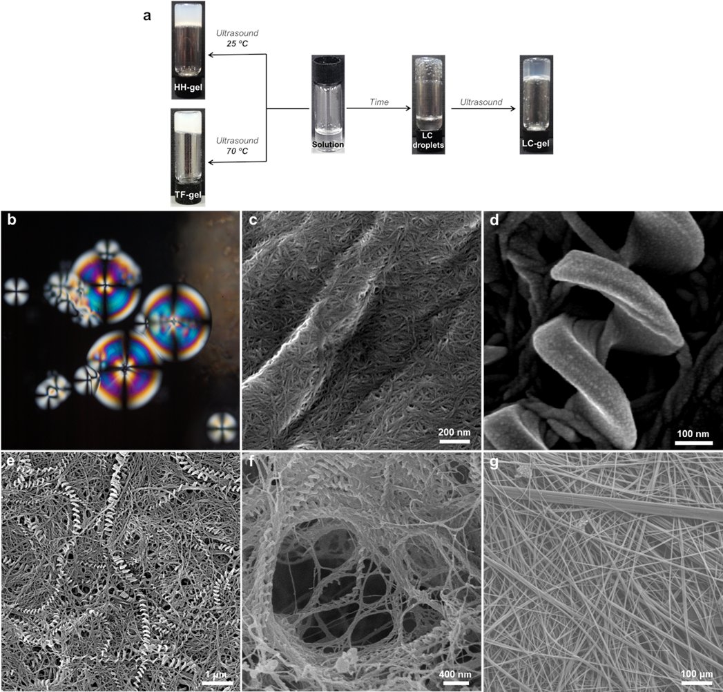 Jonathan Steed (@jonathan_steed) on Twitter photo Finally out in <a href="/ChemicalScience/">Chemical Science</a> and 4y in the making our article on amazing hyper-helical gelmorphs. Great PhD work by <a href="/jpsmith368/">James Smith</a> along with a great team of coworkers @rcontmont and Harshita Kumari's group in Cincinnati pubs.rsc.org/en/content/artโฆ Finally out in <a href="/ChemicalScience/">Chemical Science</a> and 4y in the making our article on amazing hyper-helical gelmorphs. Great PhD work by <a href="/jpsmith368/">James Smith</a> along with a great team of coworkers @rcontmont and Harshita Kumari's group in Cincinnati pubs.rsc.org/en/content/artโฆ