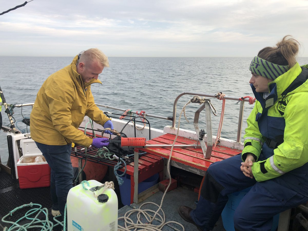 Hannah Earp tweet media