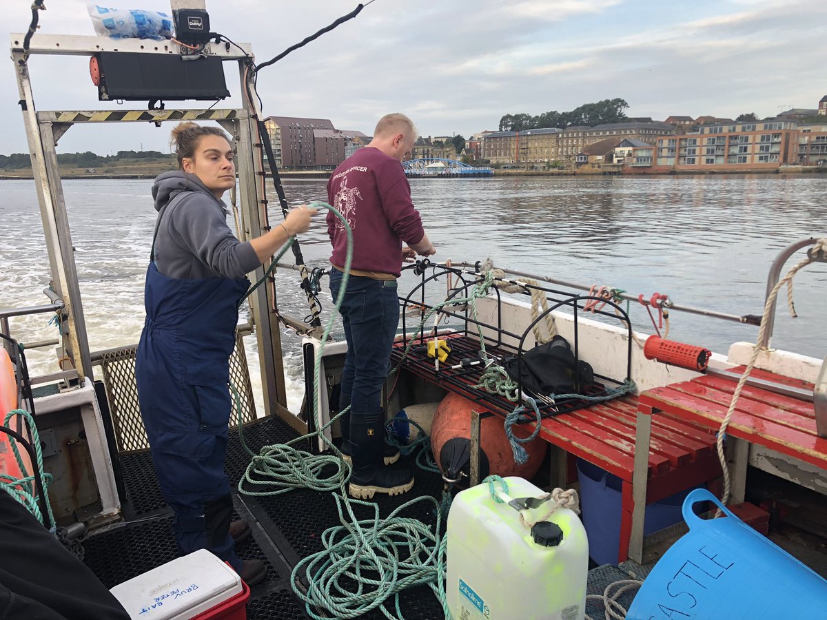 Hannah Earp tweet media