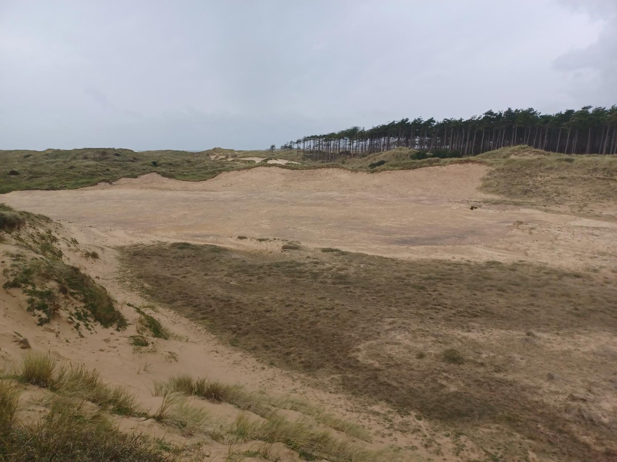 TwyniByw's tweet photo. Newborough Warren Update ๐ท๐ท
Our sand dune rejuvenation work, restoring Newborough Warren dune slack habitats is complete. This work will transform overgrown areas into to vital wetland and bare sand habitats for rare species. ๐ฑ๐ธ๐
#SandsofLIFE #SoLIFE #Newborough #habitat https://t.co/KDXsU9E65J