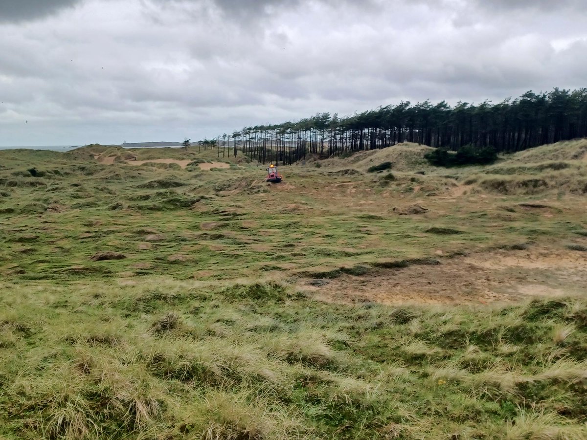 TwyniByw's tweet photo. Newborough Warren Update ๐ท๐ท
Our sand dune rejuvenation work, restoring Newborough Warren dune slack habitats is complete. This work will transform overgrown areas into to vital wetland and bare sand habitats for rare species. ๐ฑ๐ธ๐
#SandsofLIFE #SoLIFE #Newborough #habitat https://t.co/KDXsU9E65J