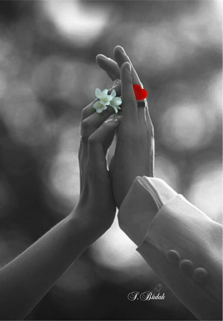 SouriceauParis's tweet photo. 🛑 Pensée du lundi [midi] 😁🐭🌹☀️😉👋

✍️Chaque petit pas t'amène vers
ton objectif. Garde confiance, garde espoir, protège tes rêves et continue d'avancer💋

#ResterPositif toujours ☺️
#Coldplay 🎶

Yellow 💃🏻🕺🏻💚❣️

https://t.co/J7OzP4hzEi

🤟 #Always 🌹 https://t.co/WRt5ZcUpqu