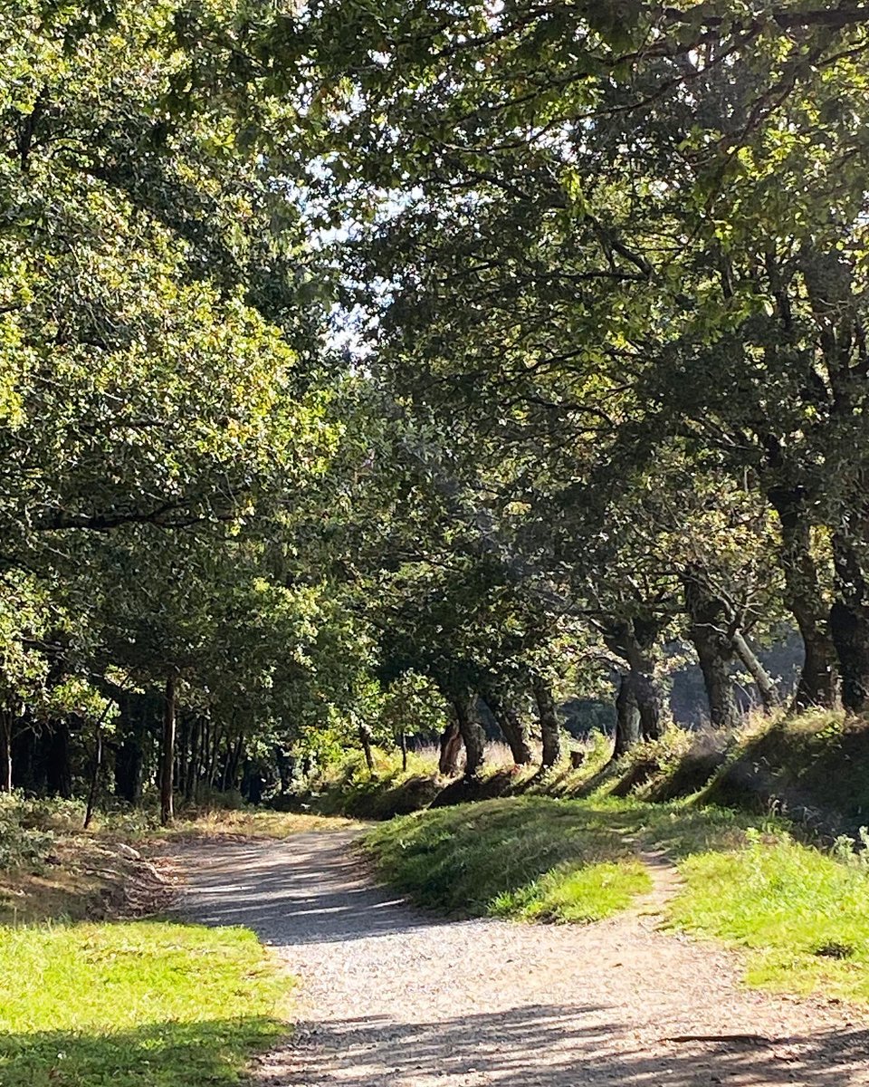 Caminoen trækker dybe spor - både som pilgrimsvej og symbol på Spaniens kultur og historie. Jeg har lige været historisk rejseleder i de smukke omgivelser. I godt selskab med Granada Kulturrejser og en herlig gruppe gæster. Tak for turen!🥂💥🇪🇸
granada.dk/grupperejser/s…