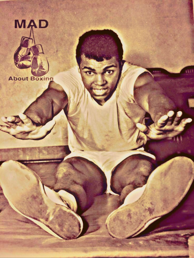 Mad About Boxing tweet media