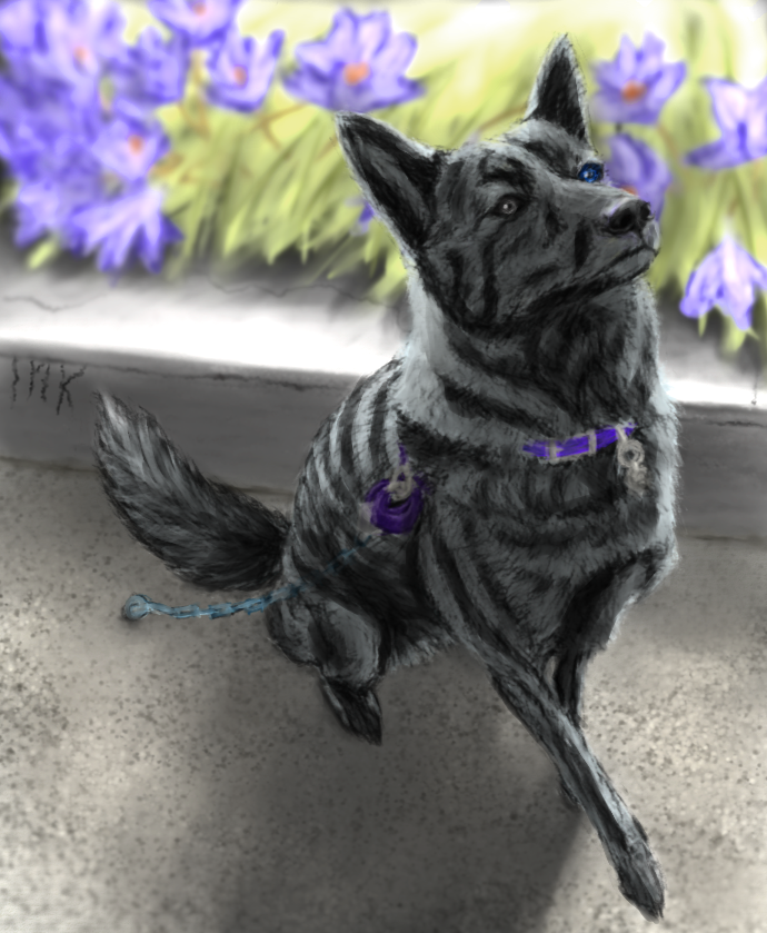 InkonstantGeist's tweet photo. Mahito from jjk but he's a dog (native Japanese breed 'kai ken')

the dramatic lighting was admittedly unnecessary i just like drawing dramatic lighting lol 

reference pictures below https://t.co/8LSLINd9la