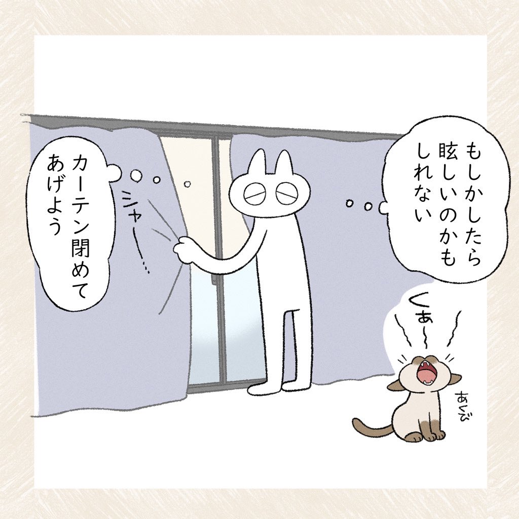 落ち着くのかもしれない
 #シャム猫あずきさんは世界の中心 