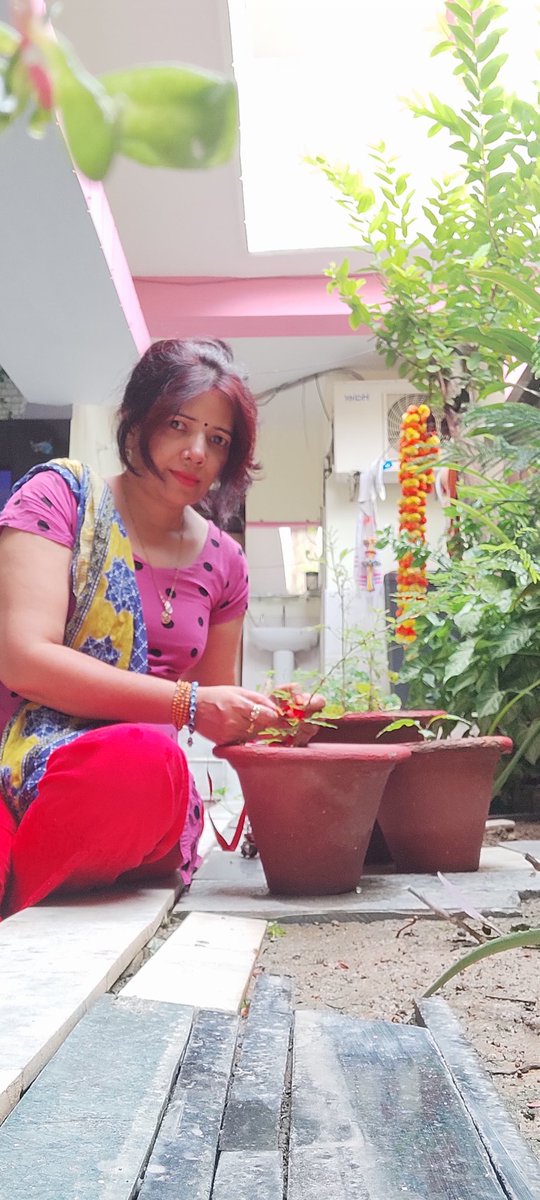 Babitaknp's tweet photo. #प्रकृति_मित्र🌳
Name- बबिता कटियार
Designation- 
Address  kanpur
@shikshansamvad
@RedTapeMovement 
@teachersclubup @UNEP @Nature @eriksolheim @myogiadityanath
@narendramodi #nature_friend
साभार- टीम प्रकृति मित्र मिशन शिक्षण संवाद
🌱🪴🌱🪴🌱🪴🌱🪴🌱🪴🌱
🌱🪴🌱🪴🌱🪴🌱🪴🌱🪴🌱 https://t.co/lL71W7pBIE