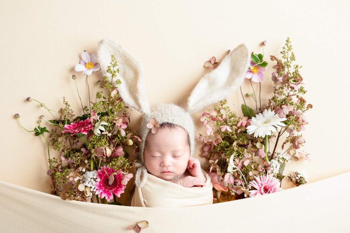 ご報告。
9月16日に新しい家族が増えました。
卯年で乙女座の女の子です。
母子ともに元気です。
今後ともよろしくお願い申し上げます。