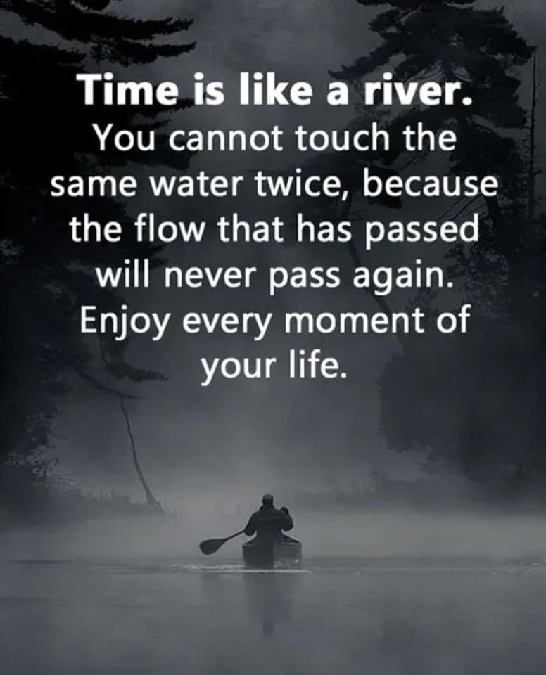 A True … Savour Every Moment 🤍✨🕊✨🤍