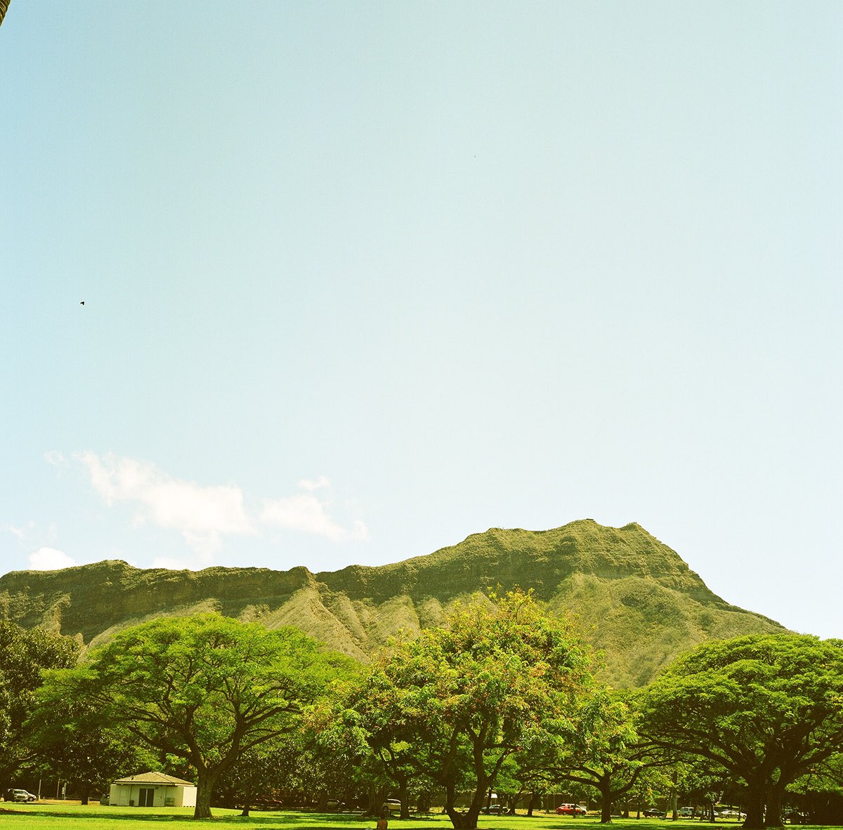 inao_toshiaki's tweet photo. WAIKIKI PHOTOGRAPH
goin' down slow , kapiolani park oafu
#hawaii
#oafu
#kapiolanipark
#カピオラニ公園
#diamondhead
#ダイアモンドヘッド
#waikiki
#ワイキキ
#goindownslow
#free
#tonsofsobs
#120film
#filmcamera
#rolleiflex
#rolleiflex28f
#waikiki_inc_photograph https://t.co/IuvS6tONu7
