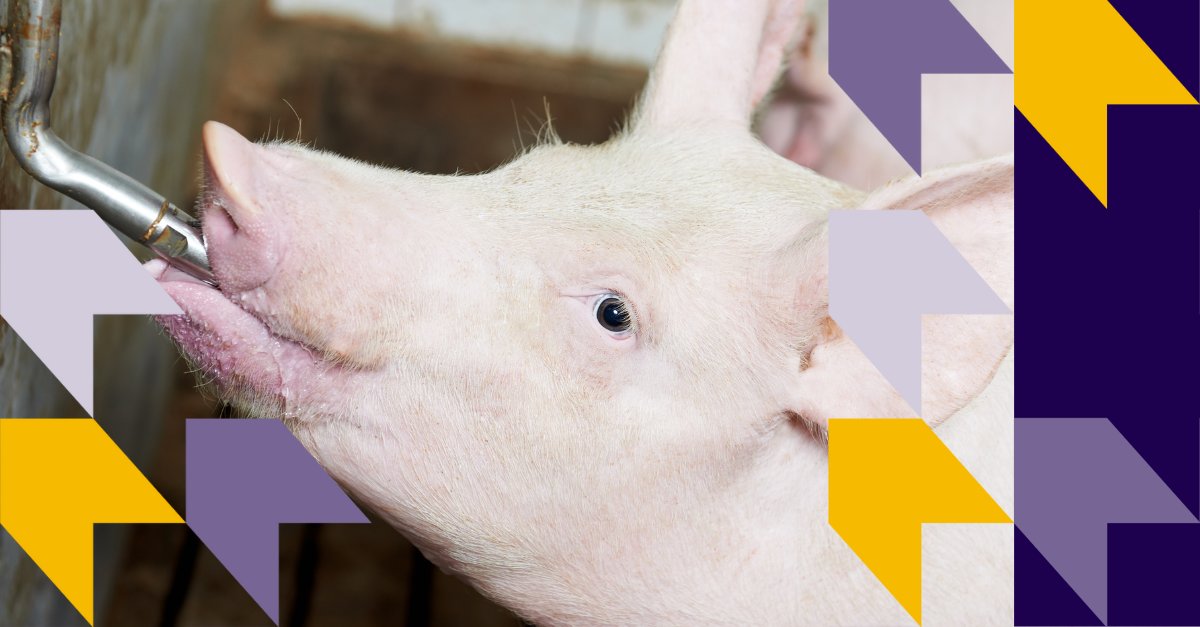 OPTIFARM tweet media