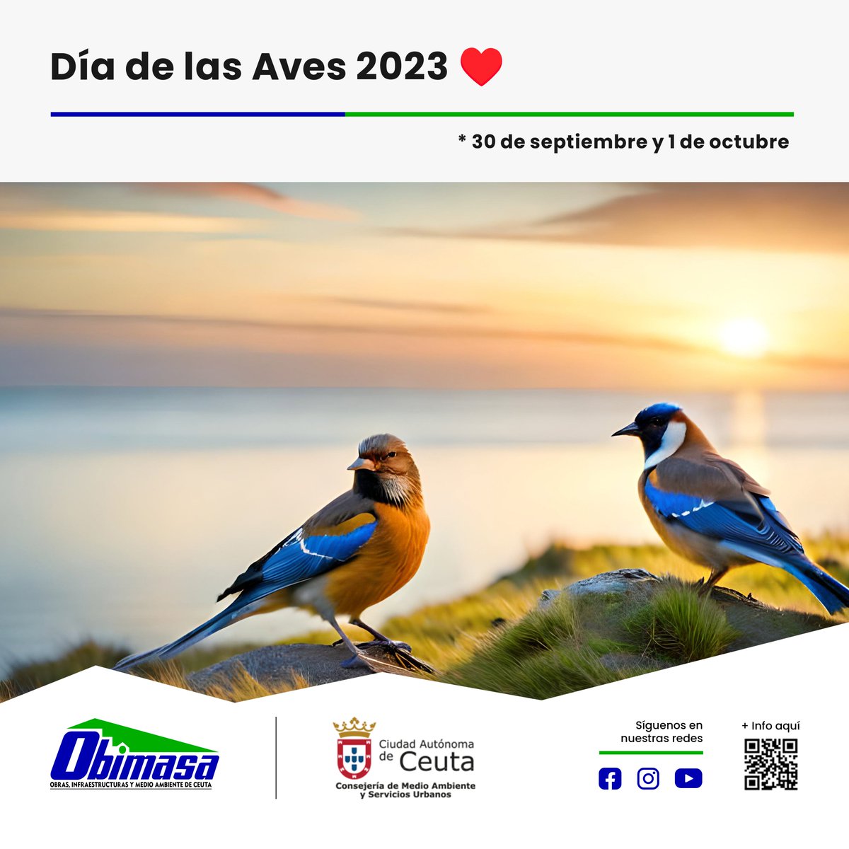 OBIMASA tweet media