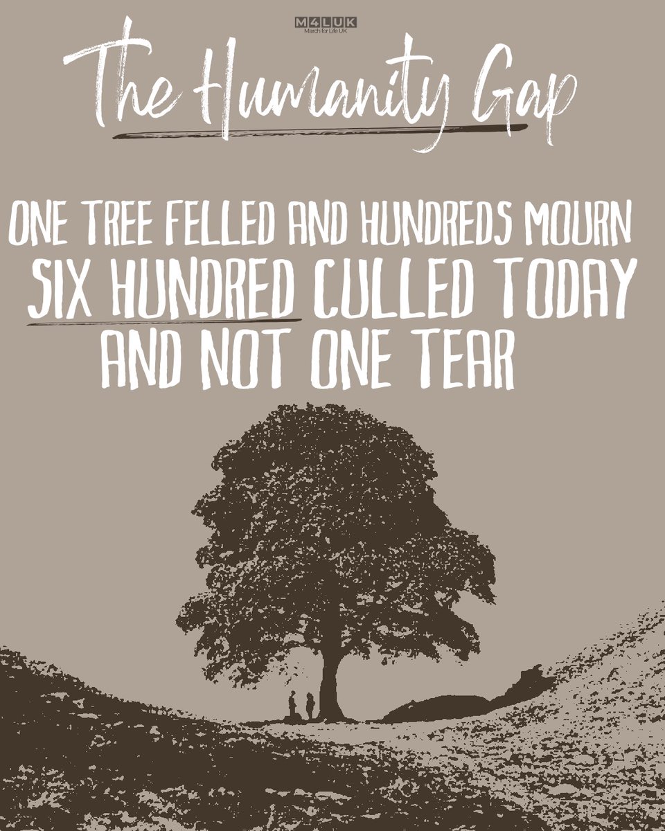 Whilst we are saddened at such a beautiful tree being needlessly and illegally axed, we grieve more over the 600 children who every day in our country are aborted with the full support of the law.