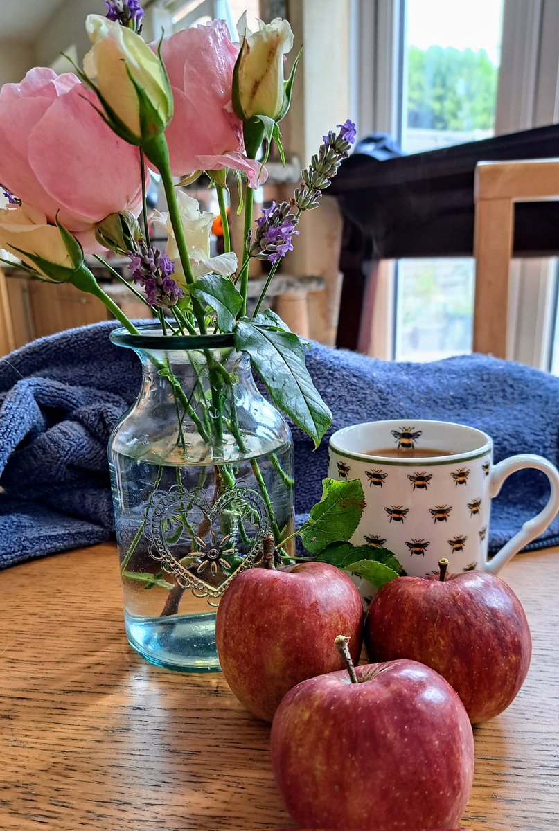 Jennifer Hemingway🌹🐝🫱🏿‍🫲🏼🐢🙋‍♀👩‍👧🏳️‍🌈🌻 tweet media