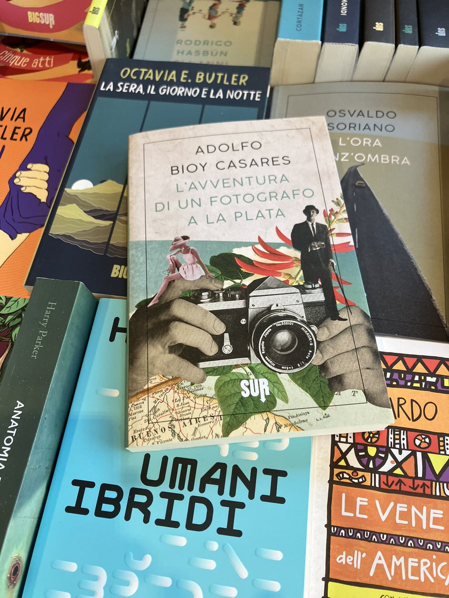 Renata A. Bruschi tweet media