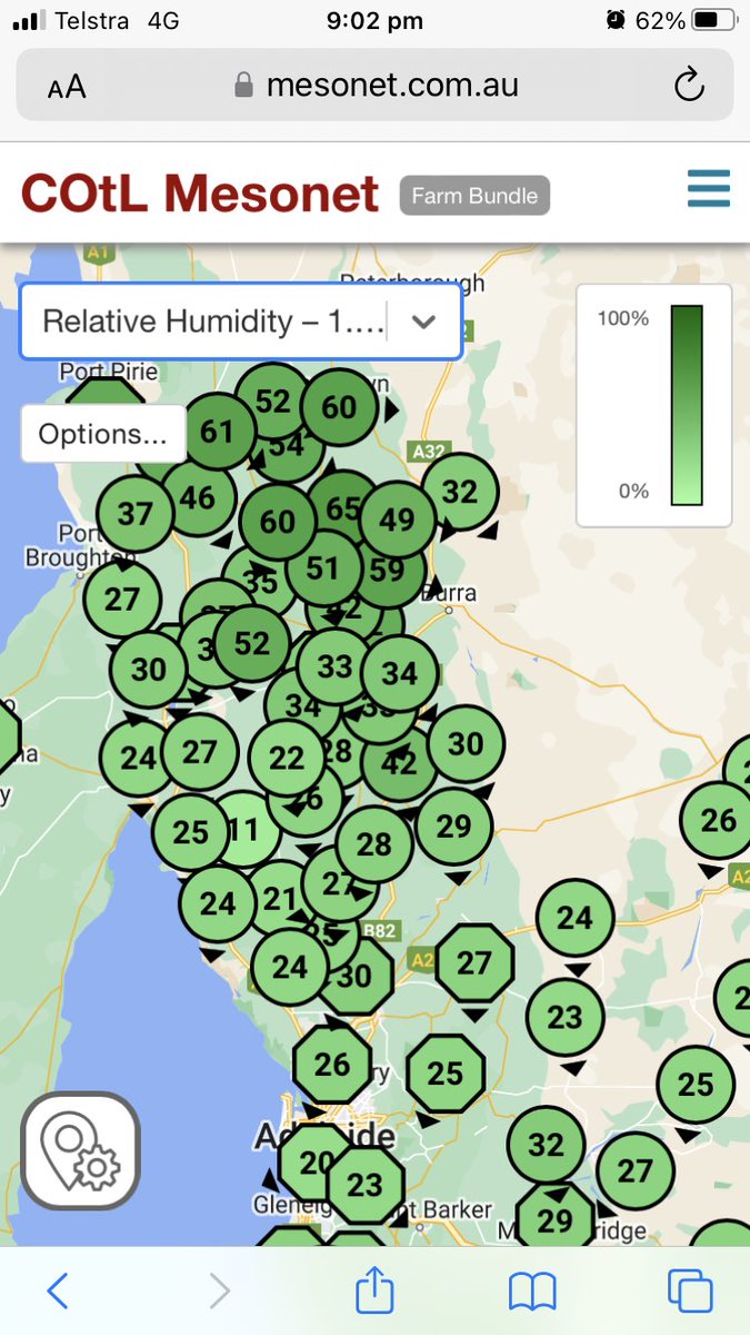 Mathew Koch tweet media