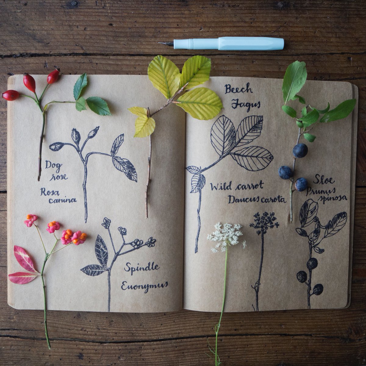 Emma Mitchell 💙 tweet media