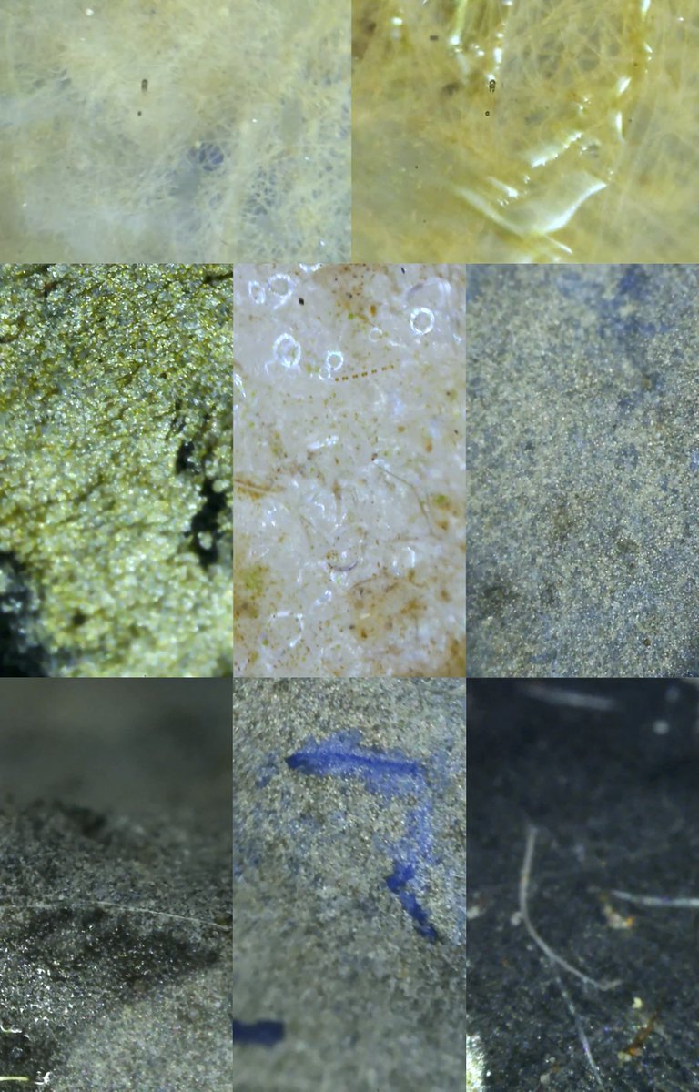 Aaron Bradshaw (@azbradshaw) on Twitter photo I have an article forthcoming in Cultural Geographies in Practice about the lives of unglamorous and uncharismatic microbial urban ecologies in East London. Using microscope and satellite methods.
<a href="/digicologies/">digitalecologies</a> In Practice Special Issue.
Will share when available!
<a href="/CSSMicrobes/">CSSM (find us at cssmicrobes.bsky.social)</a> I have an article forthcoming in Cultural Geographies in Practice about the lives of unglamorous and uncharismatic microbial urban ecologies in East London. Using microscope and satellite methods.
<a href="/digicologies/">digitalecologies</a> In Practice Special Issue.
Will share when available!
<a href="/CSSMicrobes/">CSSM (find us at cssmicrobes.bsky.social)</a>