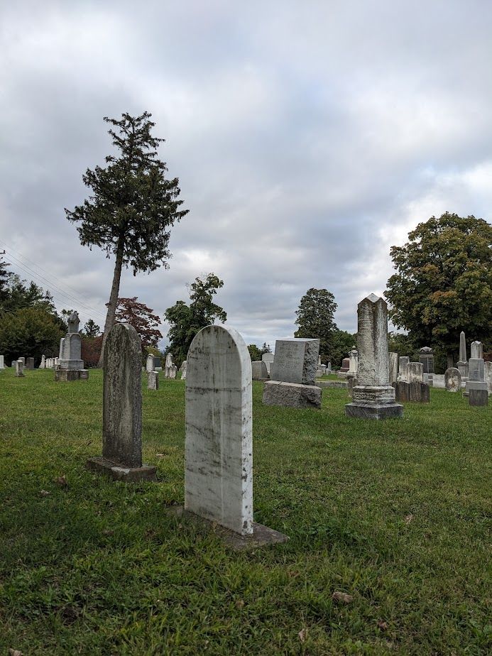 Carrie Callaghan tweet media