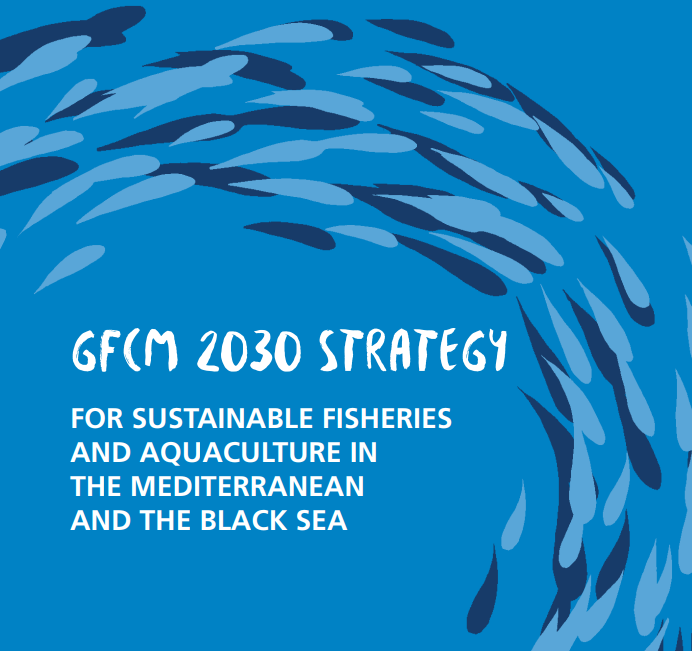 feapinfo's tweet photo. A new strategy for sustainability in the #Mediterranean & #BlackSea🌊#FEAP actively supports @UN_FAO_GFCM 2030 Strategy for sustainable #fisheries & #aquaculture, we're taking part to several actions to promote the application of those guidelines. More at: https://t.co/JWd0IRCvfA https://t.co/Csn7p4errY