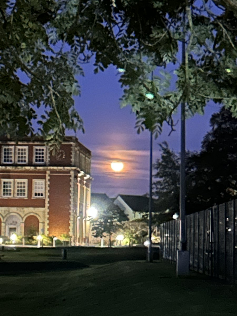 Redmaids'HighScience tweet media