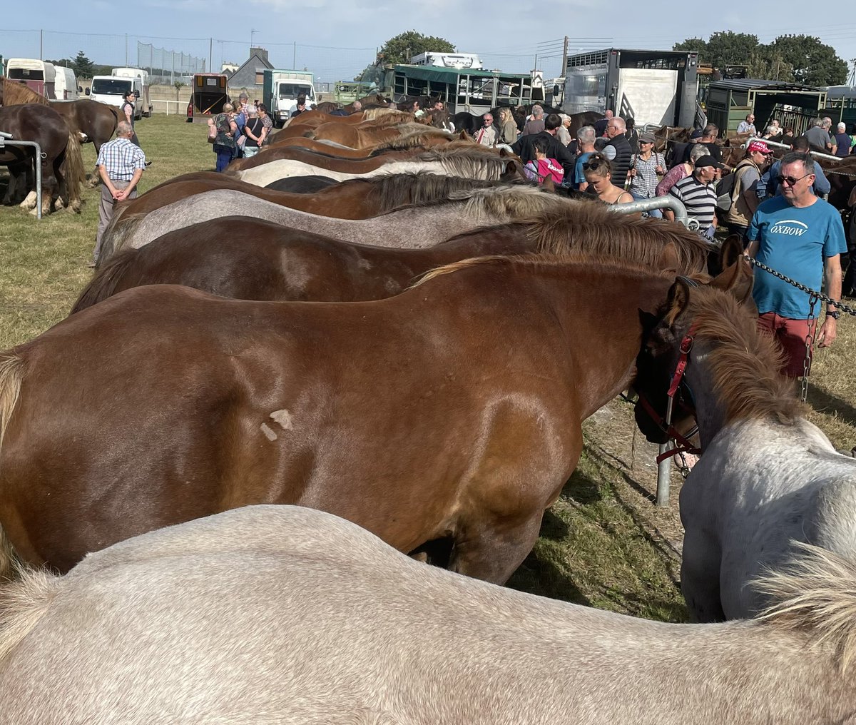 Christophe H🅰️lbw🅰️x 🏃🏻🇫🇷 tweet media