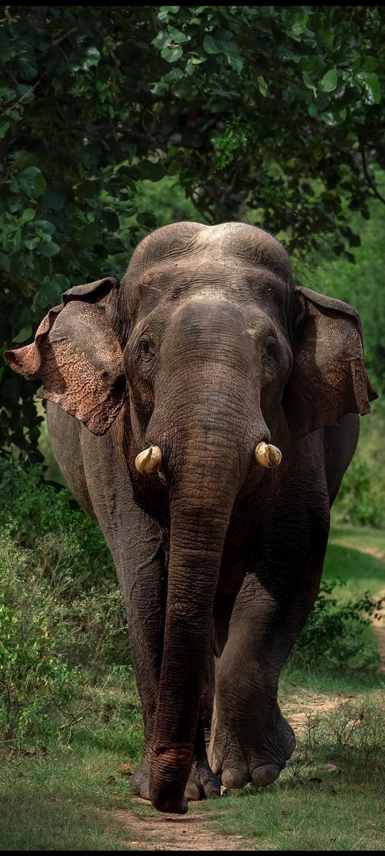 jai bal (@jayapaljai) on Twitter photo 