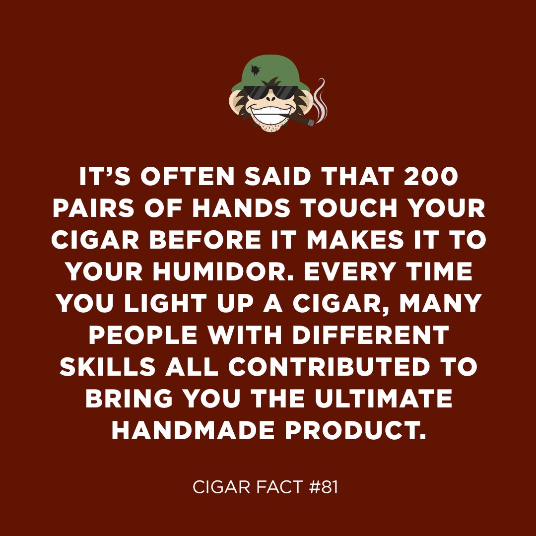 cigarpage's tweet photo. cigar fact #81 π‘ #cigarfacts #cigaroftheday #cigarnation #cpfacts #cigarpage https://t.co/bj8fzajyK7