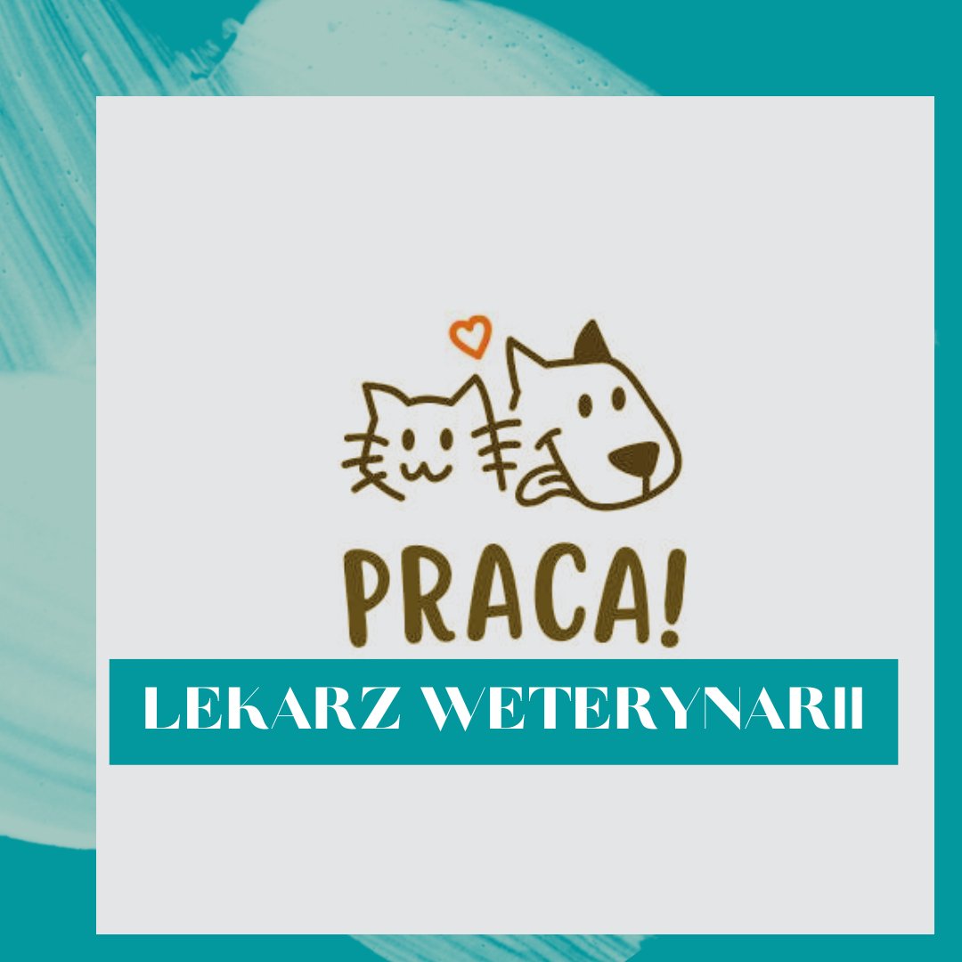 Schronisko na Paluchu im. Jana Lityńskiego w Warszawie poszukuje osoby do pracy na stanowisku 👩‍⚕️📷 LEKARZ/KA WETERYNARII 📷📷 📷Szczegóły:  🟣napaluchu.waw.pl/oferta-pracy-l…